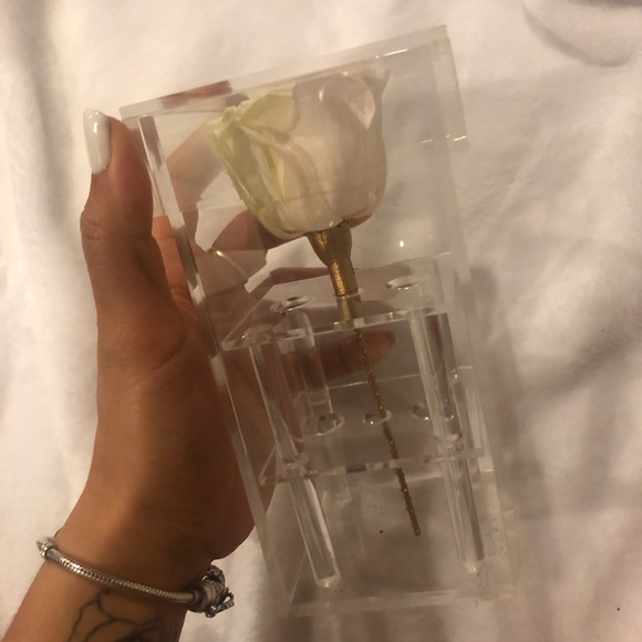 Forever Rose - Picture 7 of 7